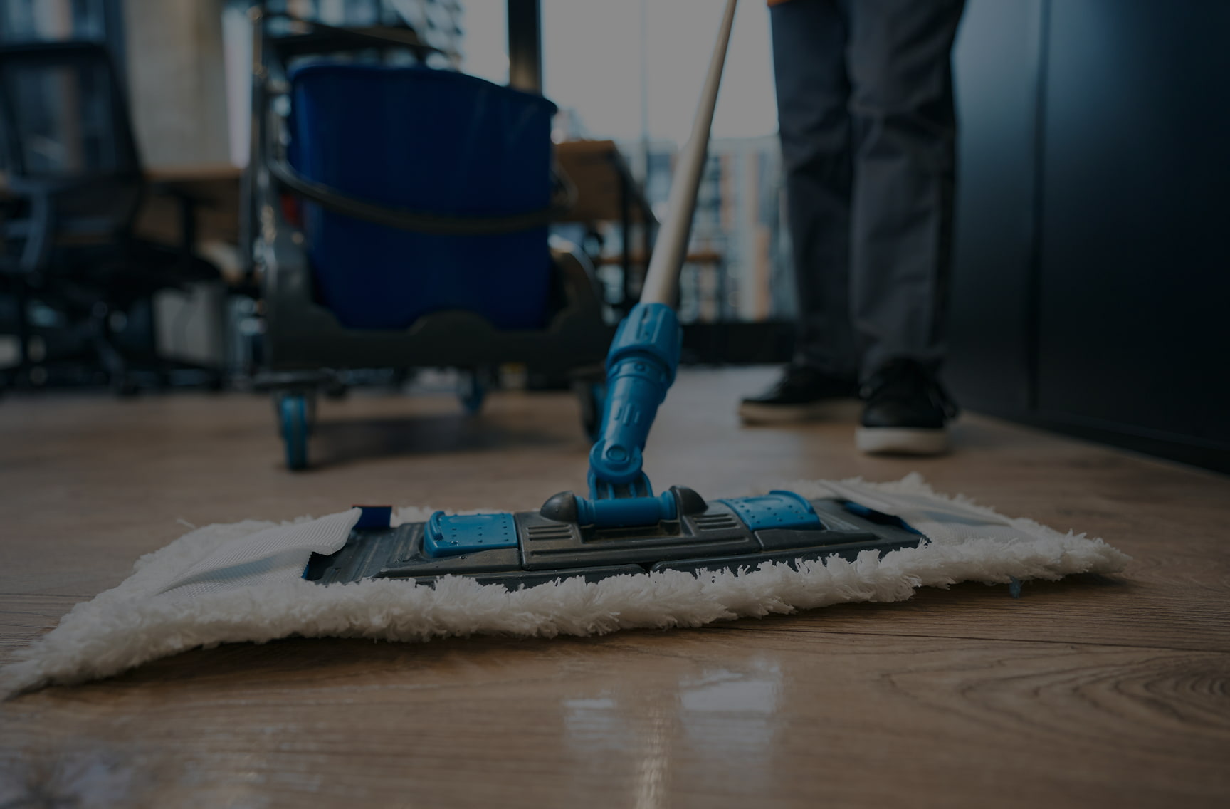 Work of cleaning company specialists